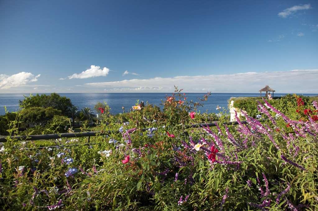 The Residence Porto Mare - Portobay Funchal Létesítmények fotó